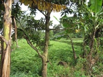 14573IMG_4939.JPG