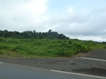 20465P1020322.JPG