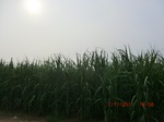 32841CIMG1973.JPG