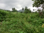 45367CIMG2452.JPG