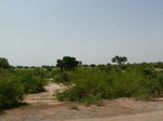 18979P1000823.JPG