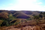 28506P1010518-1.JPG