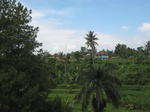 16443IMG_5228.JPG