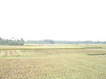 21814DSC08372.JPG