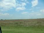 55335CIMG1388.JPG