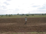 9868gt108b_cropland_farmfallow.gif