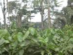 48785CIMG5122.JPG