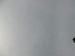 50800CIMG1429.JPG
