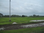 33333IMG_5670.JPG