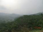 53584CIMG6938.JPG