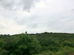 55817CIMG6451.JPG