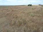 39185CAMA20110712W.JPG