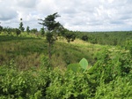 15972IMG_4525.JPG
