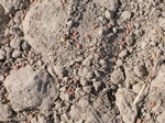 11551IMG_1755.jpg