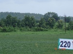 71300220c-rainfed-agriculture-soyabean-dominant-gram.jpg