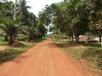 46956CIMG3293.JPG