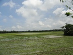 22112DSC00353.JPG
