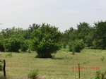 29634CIMG0904.JPG