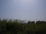 8963RIMG0038.JPG