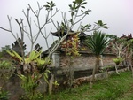 30733CIMG0573.JPG
