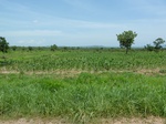 19570P1010417.JPG