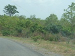51541P1000711.JPG