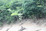2024-10-10_17-07-42_AB69E19C-5C83-4544-84A6-5B886F173939.jpeg