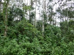 50922CIMG0322.JPG