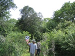1181958-forest-dry-mudunagal-sanctuary-a.jpg