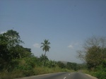 8982RIMG0057.JPG