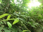 45612CIMG2697.JPG