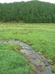 23821P1040904.JPG