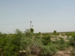 19046P1000891.JPG