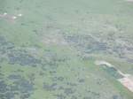 38776CIMG0325.JPG