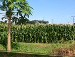 31428CIMG1292.JPG