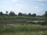 34391IMG_5307.JPG