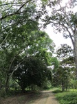 32008IMG_5565.jpg