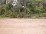 54839Berau (129).JPG