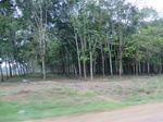 44550CIMG1735.JPG