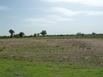 19266P1010112.JPG
