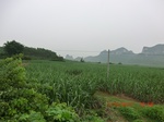 33166CIMG2403.JPG