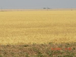 29887CIMG1391.JPG