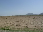 19225P1010071.JPG