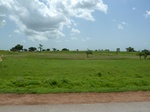 19531P1010378.JPG