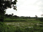 24665DSC00889.JPG