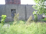 519R0015065.jpg