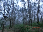 52886CIMG4974_调整大小.JPG