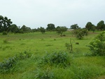 18749P1000587.JPG
