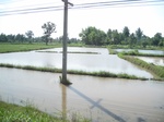 33354IMG_5694.JPG