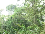 48105CIMG4442.JPG